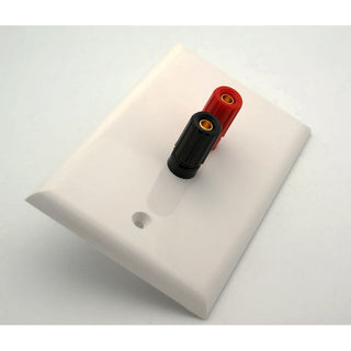 Dual 5 Way Binding Post Wall Plate