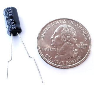 10uF 100 Volt Electrolytic Capacitor