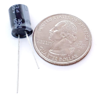 22uF 100 Volt Electrolytic Capacitor