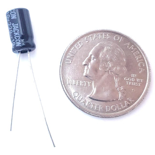 220uF 10 Volt Electrolytic Capacitor