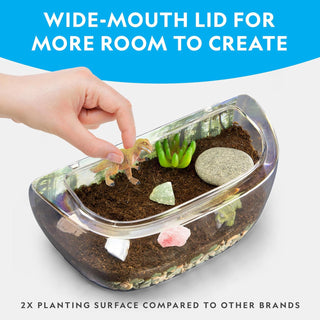 National Geographic Light Up Terrarium Kit With Real Plants & Gemstones