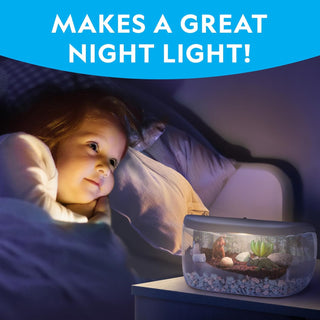 National Geographic Light Up Terrarium Kit With Real Plants & Gemstones