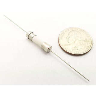 1.25A 5x20mm Axial Lead Fuse - Fast Blow