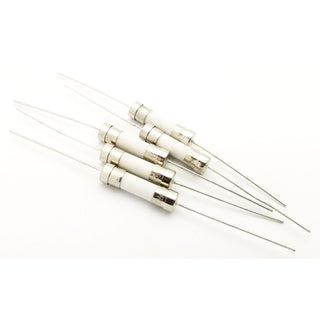 1A 5x20mm Axial Lead Fuse - Slow Blow