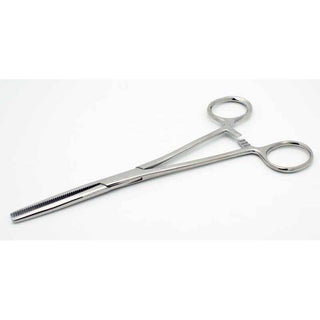 6" Forceps / Hemostat - Stainless Steel