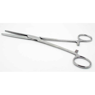 8" Forceps / Hemostat - Stainless Steel