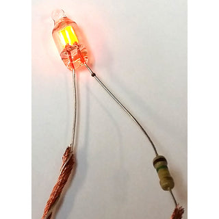 Neon Indicator Lamp (NE2)