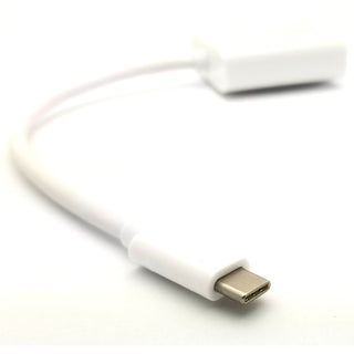 USB C to VGA Adapter