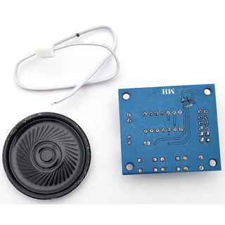 Voice Recording Module With Mic and Speaker for Arduino (D113)