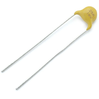 ceramic capacitor 25 pF ±10% 1000 volts S2L