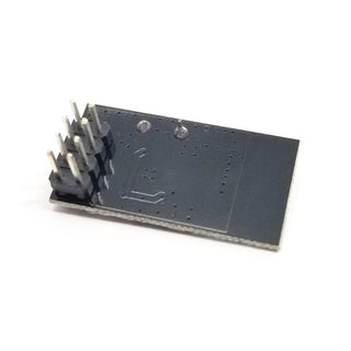 2.4 GHz Wireless Data Transceiver (D47)