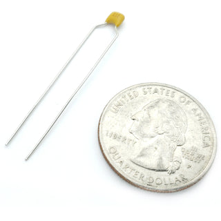 ceramic capacitor 22 pF