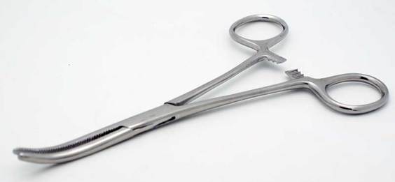 6 Curved Tip Forceps / Hemostat - Stainless Steel