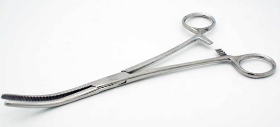 8 Curved Tip Forceps / Hemostat - Stainless Steel
